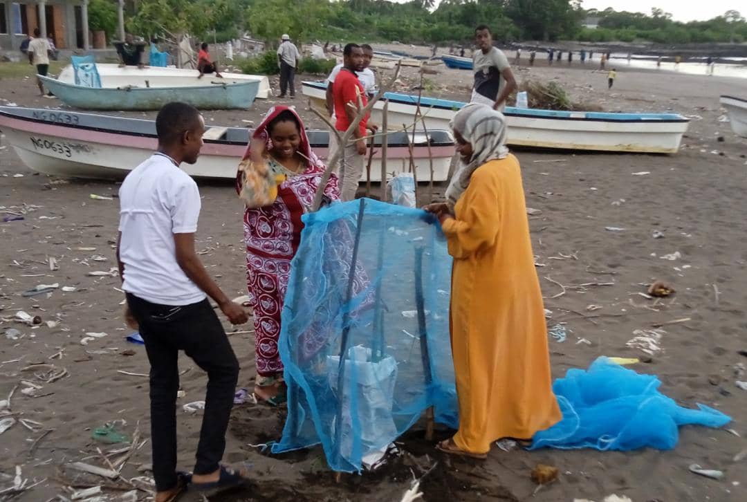 image Les animaux en divagation, une menace pour le reboisement du littoral de Djoiezi